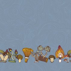 Seamless vector border of different mushrooms N2