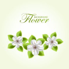 Flowers N210