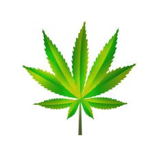 Abstract Cannabis Background Vector Illustration N12
