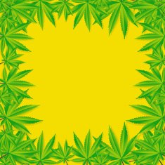 Abstract Cannabis Background Vector Illustration N19