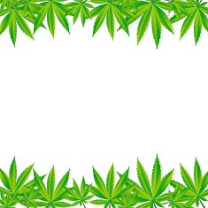 Abstract Cannabis Background Vector Illustration N21