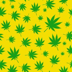 Abstract Cannabis Seamless Pattern Background Vector Illustratio N5