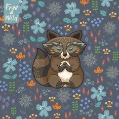 Funny little raccoon meditates on the meadow