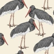 herons sketch