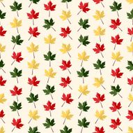 Seamless colorful background made of different maple leaves