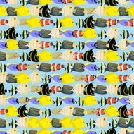 Seamless colorful background made of different exotic fish