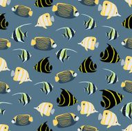 Seamless colorful background made of different exotic fish N2