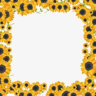 colorful frame made of sunflowers in flat design