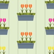 Seamless colorful background made of tulips in pots