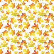 Autumn Maple leaves pattern