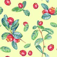 Seamless pattern with cranberry Drawing colored pencils