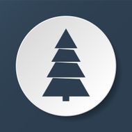 christmas tree N205