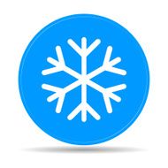 Snowflake flat icon N6