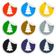 christmas tree N208