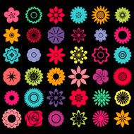 Flowers N215