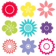 Flowers N216