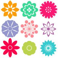 Flowers N217