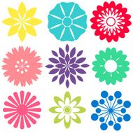 Flowers N221