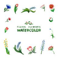 Floral set with watercolor flowers N7