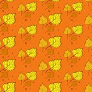 Pattern of birch leaves