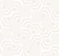 Abstract Hexagon Pattern N2