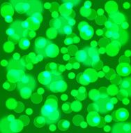 green bokeh background N2