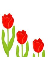red tulip spring card