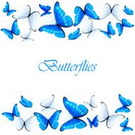 Blue and white butterflies N2