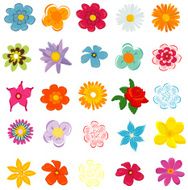 colorful spring flowers vector illustration
