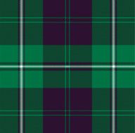 Vector Classic Green Purple Plaid Fabric N2
