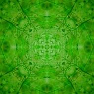 Green abstract pattern N12