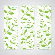 Colorful Vertical Set Of Floral Banners Modern Vector Illustration
