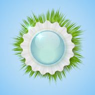 Realistic herbal banner for your design N4