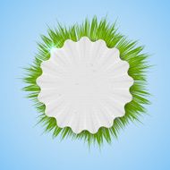 Realistic herbal banner for your design N5