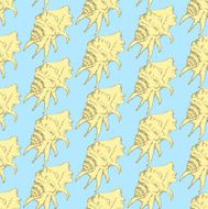 Sketch sea shell in vintage style