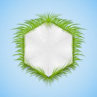Realistic herbal banner for your design N6