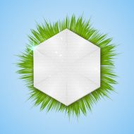 Realistic herbal banner for your design N7