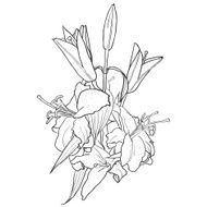 Black and white background with flowers of lily