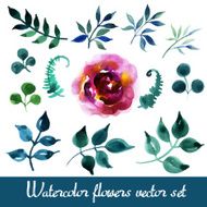 Set of beautiful watercolor flowers