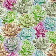 Floral Pattern N818