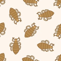 bug cartoon seamless pattern background N24