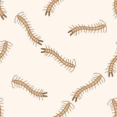 bug cartoon seamless pattern background N26