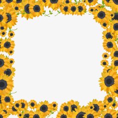colorful frame made of sunflowers in flat design