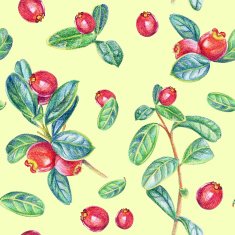 Seamless pattern with cranberry Drawing colored pencils
