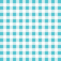 Gingham tablecloth pattern background Vintage vector pattern