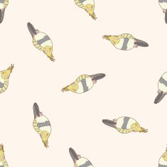 bird cartoon seamless pattern background N52