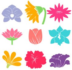 Flowers N218