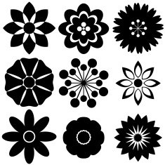 Flowers N219