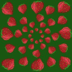 strawberry pattern N6