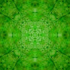 Green abstract pattern N12